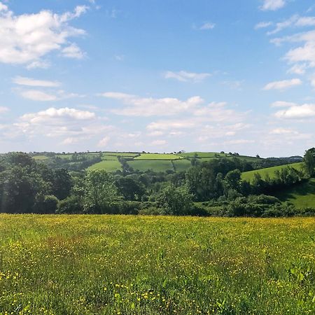 Villa Ynywsen Dairy Flat Llanfynydd Esterno foto
